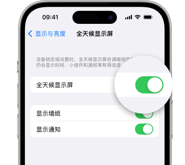 阳春苹果15预约维修分享iPhone15如何设置全天候显示屏幕可见 