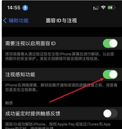 阳春苹果14维修网点分享iPhone14注视感知功能有什么用 